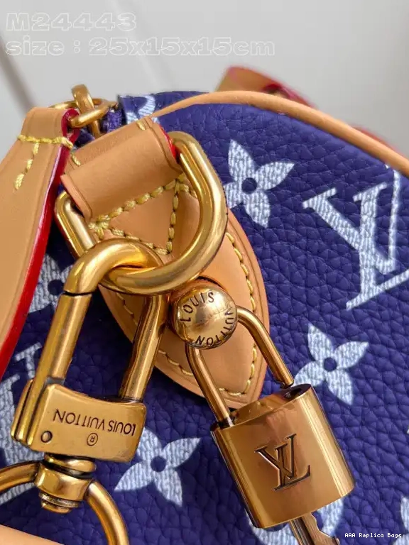 Aaa replica bags Vuitton 25 SPEEDY Louis 0603